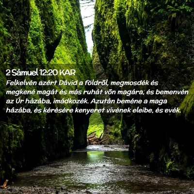 Picture 02 - 2 Sámuel 12:20 KAR - Felkelvén azért Dávid a földrõl, megmosdék - Bible Verse Picture