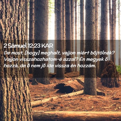 Picture 02 - 2 Sámuel 12:23 KAR - De most, [hogy] meghalt, vajjon miért - Bible Verse Picture