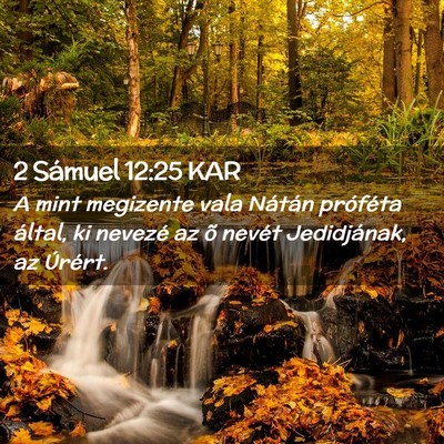 Picture 02 - 2 Sámuel 12:25 KAR - A mint megizente vala Nátán próféta által, - Bible Verse Picture