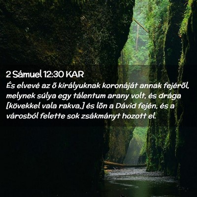 Picture 02 - 2 Sámuel 12:30 KAR - És elvevé az õ királyuknak koronáját annak - Bible Verse Picture
