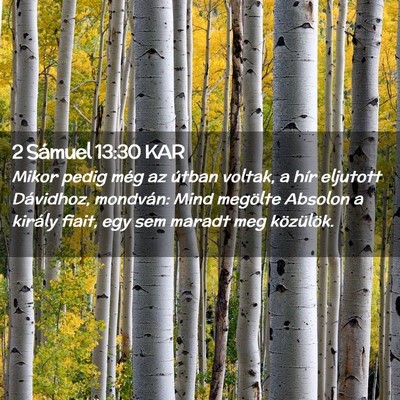 Picture 02 - 2 Sámuel 13:30 KAR - Mikor pedig még az útban voltak, a hír - Bible Verse Picture