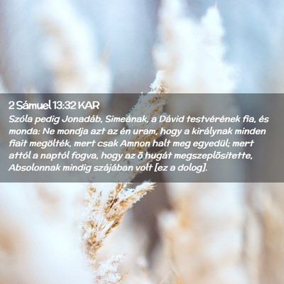 Picture 02 - 2 Sámuel 13:32 KAR - Szóla pedig Jonadáb, Simeának, a Dávid - Bible Verse Picture