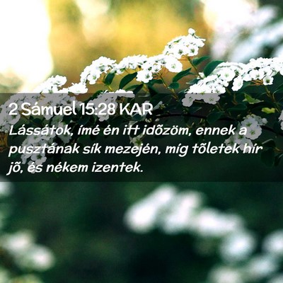 Picture 02 - 2 Sámuel 15:28 KAR - Lássátok, ímé én itt idõzöm, ennek a - Bible Verse Picture