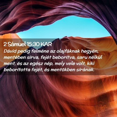 Picture 02 - 2 Sámuel 15:30 KAR - Dávid pedig felméne az olajfáknak hegyén, - Bible Verse Picture