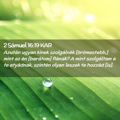 Picture 02 - 2 Sámuel 16:19 KAR - Azután ugyan kinek szolgálnék [örömestebb,] - Bible Verse Picture