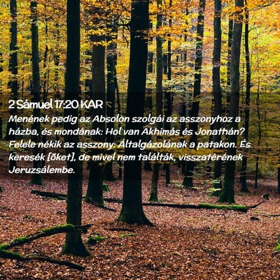 Picture 02 - 2 Sámuel 17:20 KAR - Menének pedig az Absolon szolgái az asszonyhoz - Bible Verse Picture
