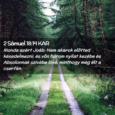 Picture 02 - 2 Sámuel 18:14 KAR - Monda azért Joáb: Nem akarok elõtted - Bible Verse Picture