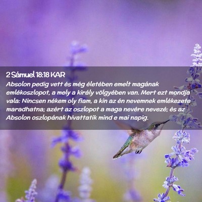Picture 02 - 2 Sámuel 18:18 KAR - Absolon pedig vett és még életében emelt - Bible Verse Picture