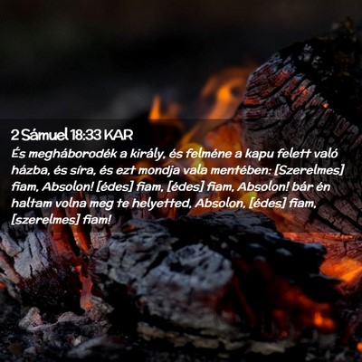 Picture 02 - 2 Sámuel 18:33 KAR - És megháborodék a király, és felméne a kapu - Bible Verse Picture