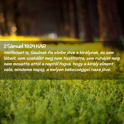 Picture 02 - 2 Sámuel 19:24 KAR - Méfibóset is, Saulnak fia eleibe jöve a - Bible Verse Picture
