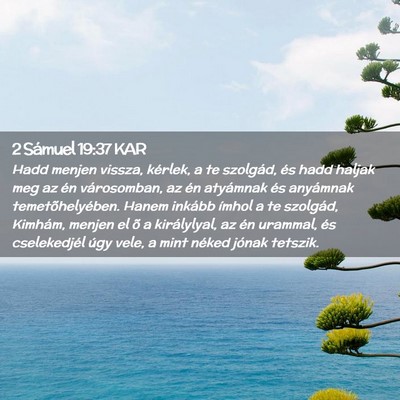 Picture 02 - 2 Sámuel 19:37 KAR - Hadd menjen vissza, kérlek, a te szolgád, és - Bible Verse Picture