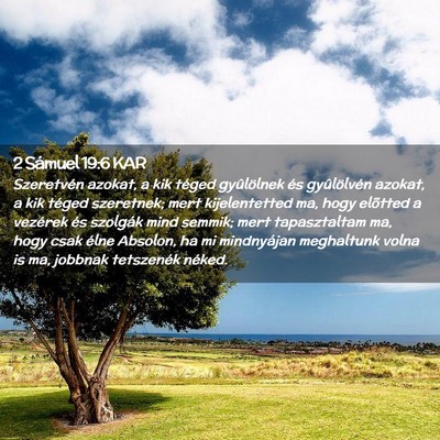 Picture 02 - 2 Sámuel 19:6 KAR - Szeretvén azokat, a kik téged gyûlölnek és - Bible Verse Picture