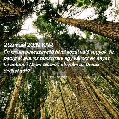 Picture 02 - 2 Sámuel 20:19 KAR - Én Izráel békeszeretõ hívei közül való - Bible Verse Picture