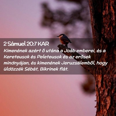 Picture 02 - 2 Sámuel 20:7 KAR - Kimenének azért õ utána a Joáb emberei, és - Bible Verse Picture