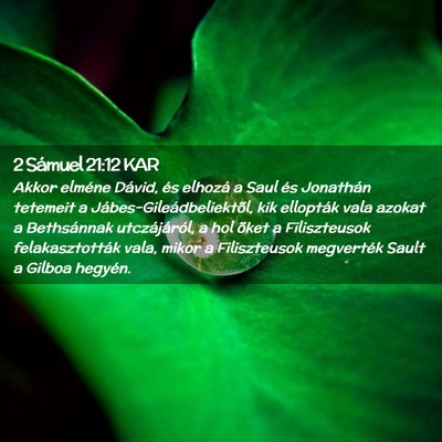 Picture 02 - 2 Sámuel 21:12 KAR - Akkor elméne Dávid, és elhozá a Saul és - Bible Verse Picture