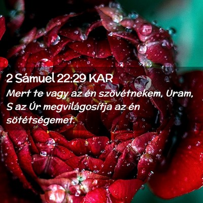 Picture 02 - 2 Sámuel 22:29 KAR - Mert te vagy az én szövétnekem, Uram, S az Úr - Bible Verse Picture