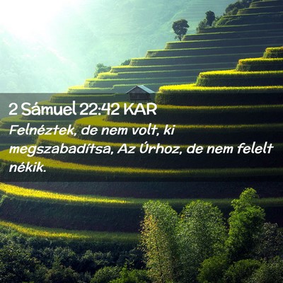 Picture 02 - 2 Sámuel 22:42 KAR - Felnéztek, de nem volt, ki megszabadítsa, Az - Bible Verse Picture