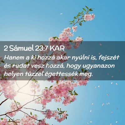 Picture 02 - 2 Sámuel 23:7 KAR - Hanem a ki hozzá akar nyúlni is, fejszét és - Bible Verse Picture