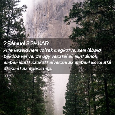 Picture 02 - 2 Sámuel 3:34 KAR - A te kezeid nem voltak megkötve, sem lábaid - Bible Verse Picture