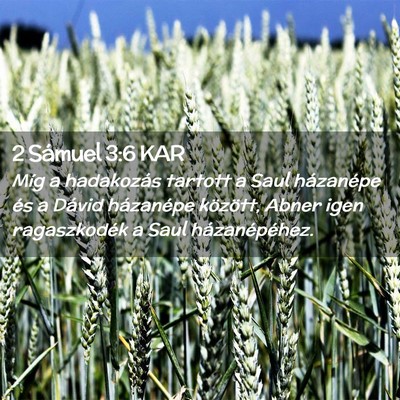 Picture 02 - 2 Sámuel 3:6 KAR - Míg a hadakozás tartott a Saul házanépe és a - Bible Verse Picture