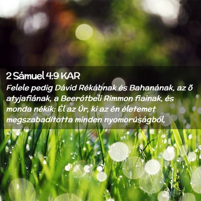 Picture 02 - 2 Sámuel 4:9 KAR - Felele pedig Dávid Rékábnak és Bahanának, az - Bible Verse Picture