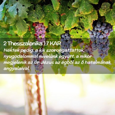 Picture 02 - 2 Thesszalonika 1:7 KAR - Néktek pedig, a kik szorongattattok, - Bible Verse Picture
