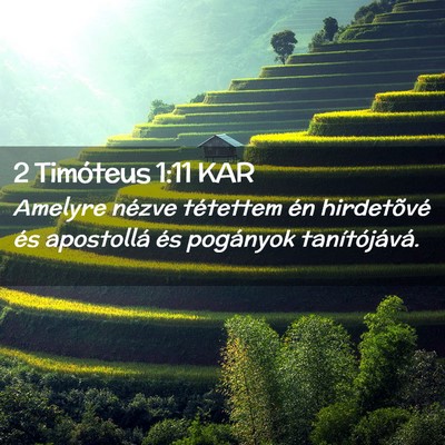 Picture 02 - 2 Timóteus 1:11 KAR - Amelyre nézve tétettem én hirdetõvé és - Bible Verse Picture