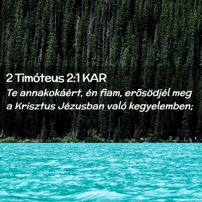 Picture 02 - 2 Timóteus 2:1 KAR - Te annakokáért, én fiam, erõsödjél meg a - Bible Verse Picture