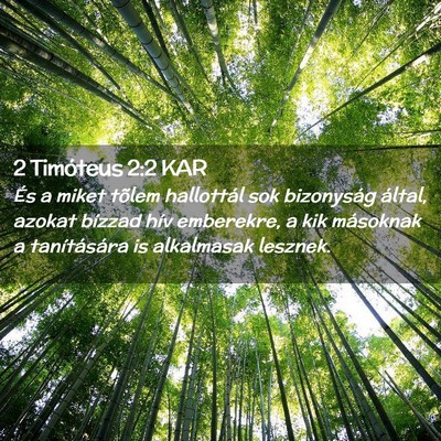Picture 02 - 2 Timóteus 2:2 KAR - És a miket tõlem hallottál sok bizonyság - Bible Verse Picture