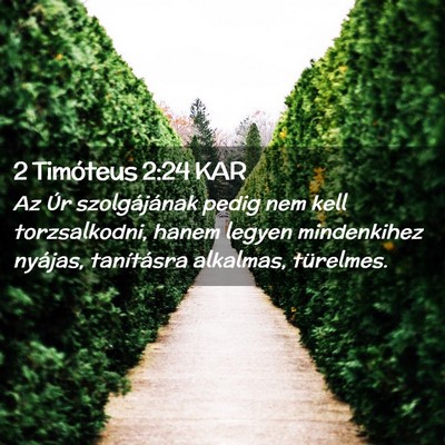 Picture 02 - 2 Timóteus 2:24 KAR - Az Úr szolgájának pedig nem kell torzsalkodni, - Bible Verse Picture