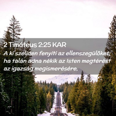 Picture 02 - 2 Timóteus 2:25 KAR - A ki szelíden fenyíti az ellenszegülõket; ha - Bible Verse Picture