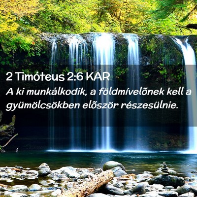 Picture 02 - 2 Timóteus 2:6 KAR - A ki munkálkodik, a földmívelõnek kell a - Bible Verse Picture