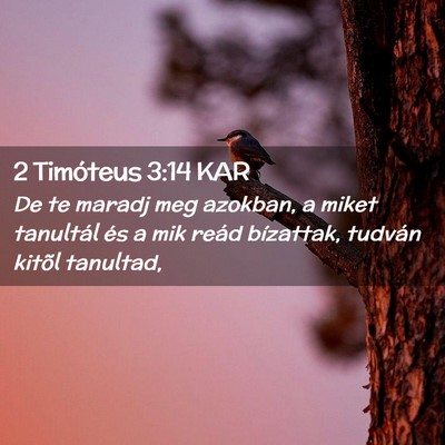 Picture 02 - 2 Timóteus 3:14 KAR - De te maradj meg azokban, a miket tanultál és a - Bible Verse Picture