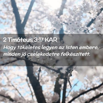 Picture 02 - 2 Timóteus 3:17 KAR - Hogy tökéletes legyen az Isten embere, minden - Bible Verse Picture
