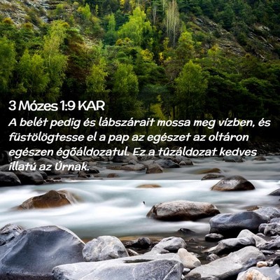 Picture 02 - 3 Mózes 1:9 KAR - A belét pedig és lábszárait mossa meg - Bible Verse Picture