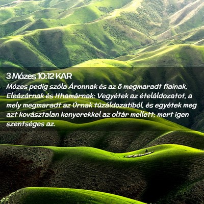 Picture 02 - 3 Mózes 10:12 KAR - Mózes pedig szóla Áronnak és az õ megmaradt - Bible Verse Picture