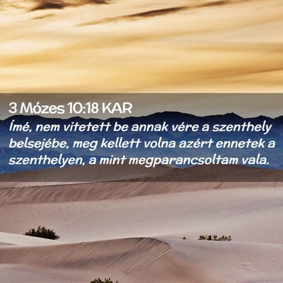 Picture 02 - 3 Mózes 10:18 KAR - Ímé, nem vitetett be annak vére a szenthely - Bible Verse Picture