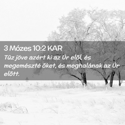 Picture 02 - 3 Mózes 10:2 KAR - Tûz jöve azért ki az Úr elõl, és - Bible Verse Picture