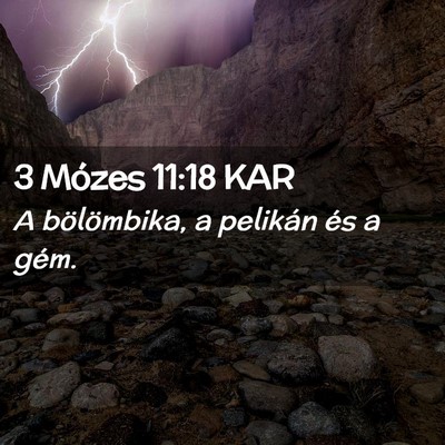 Picture 02 - 3 Mózes 11:18 KAR - A bölömbika, a pelikán és a - Bible Verse Picture