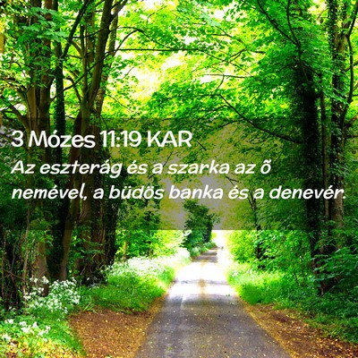 Picture 02 - 3 Mózes 11:19 KAR - Az eszterág és a szarka az õ nemével, a - Bible Verse Picture