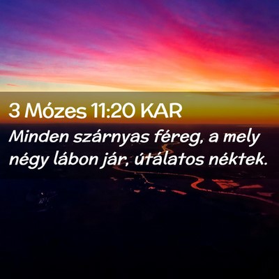 Picture 02 - 3 Mózes 11:20 KAR - Minden szárnyas féreg, a mely négy lábon - Bible Verse Picture
