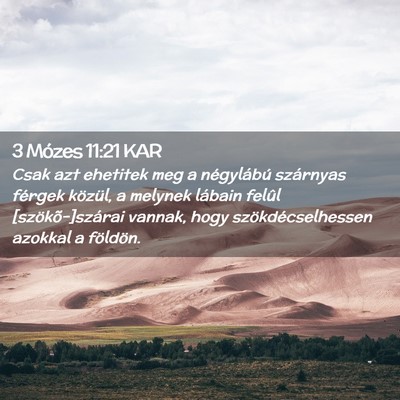 Picture 02 - 3 Mózes 11:21 KAR - Csak azt ehetitek meg a négylábú szárnyas - Bible Verse Picture
