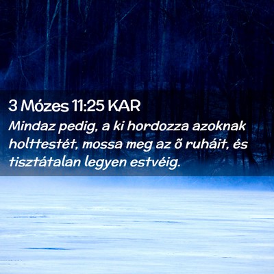 Picture 02 - 3 Mózes 11:25 KAR - Mindaz pedig, a ki hordozza azoknak holttestét, - Bible Verse Picture