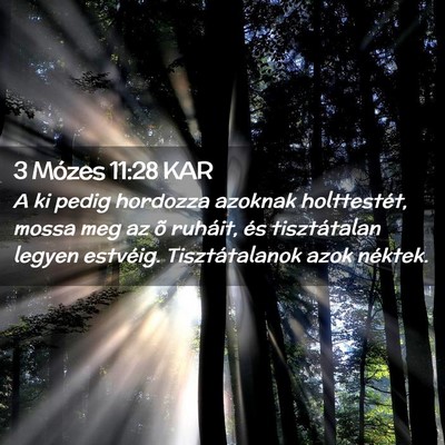Picture 02 - 3 Mózes 11:28 KAR - A ki pedig hordozza azoknak holttestét, mossa - Bible Verse Picture