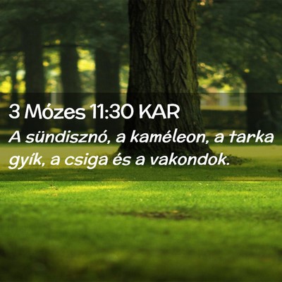 Picture 02 - 3 Mózes 11:30 KAR - A sündisznó, a kaméleon, a tarka gyík, a - Bible Verse Picture