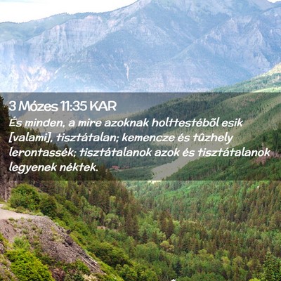 Picture 02 - 3 Mózes 11:35 KAR - És minden, a mire azoknak holttestébõl esik - Bible Verse Picture