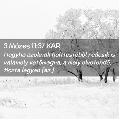 Picture 02 - 3 Mózes 11:37 KAR - Hogyha azoknak holttestébõl reáesik is - Bible Verse Picture