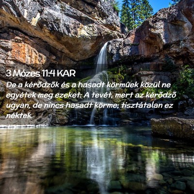 Picture 02 - 3 Mózes 11:4 KAR - De a kérõdzõk és a hasadt körmûek közül - Bible Verse Picture