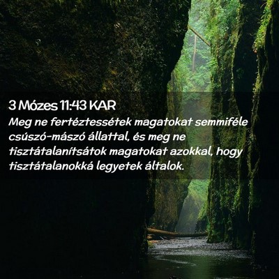 Picture 02 - 3 Mózes 11:43 KAR - Meg ne fertéztessétek magatokat semmiféle - Bible Verse Picture