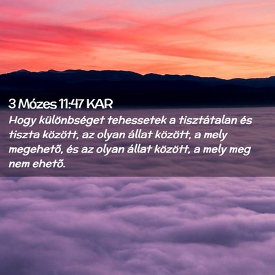 Picture 02 - 3 Mózes 11:47 KAR - Hogy különbséget tehessetek a tisztátalan és - Bible Verse Picture